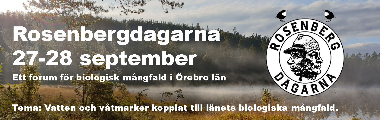 Rosenbergdagarna