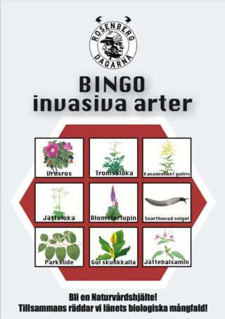 Bingo Invasiva arter - Rosenbergdagarna